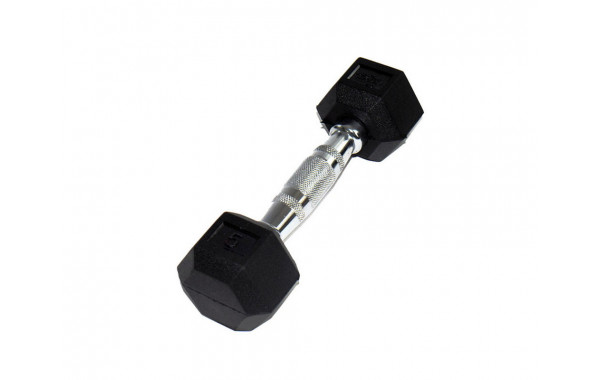 Гантель Perform Better Rubber Encased Hex Dumbbells 5 кг 0543-5\ 600_380