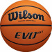 Мяч баскетбольный Wilson Evo Nxt WTB0965XB р.7 75_75