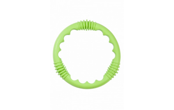 Игрушка Mad Wave Diving ring M0759 02 0 10W зеленый 600_380