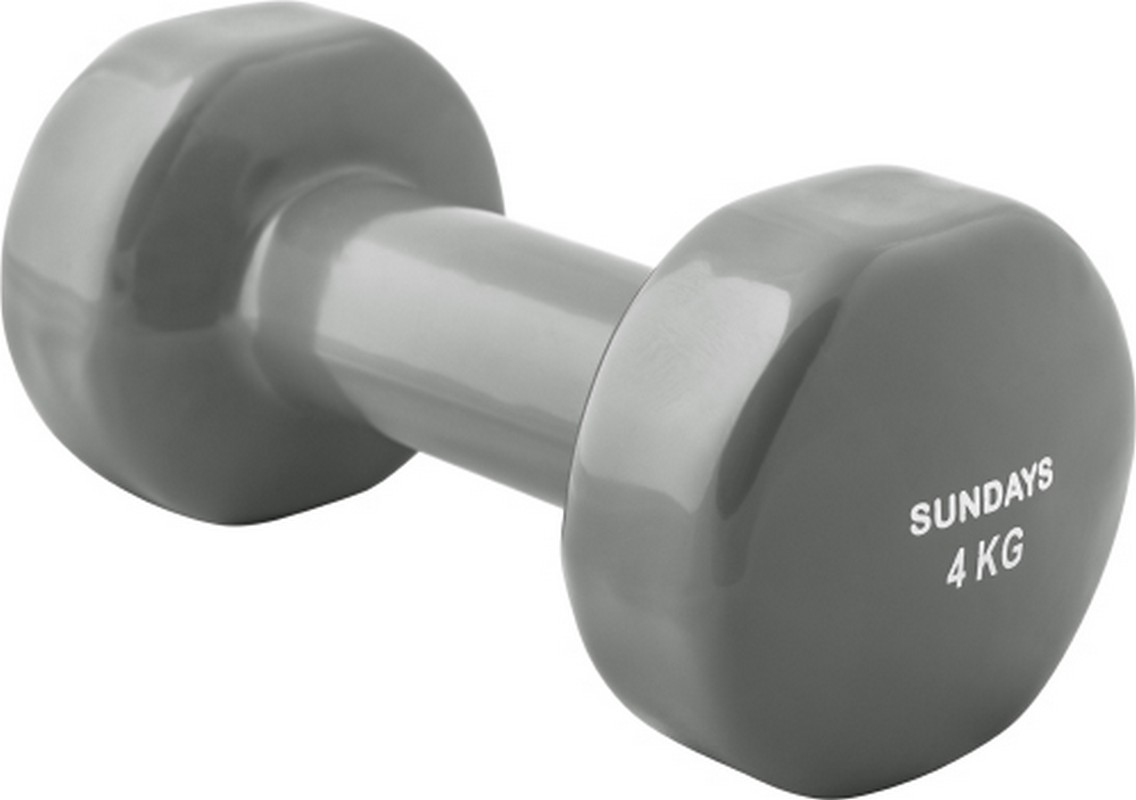 Гантель 4кг Sundays Fitness IR92005 6062980 серый 1136_800