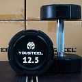 Гантель EVO 12,5кг полиуретановая YouSteel 120_120