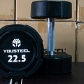 Гантель EVO 22,5кг полиуретановая YouSteel 120_120