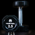 Гантель EVO 2,5кг полиуретановая YouSteel 120_120